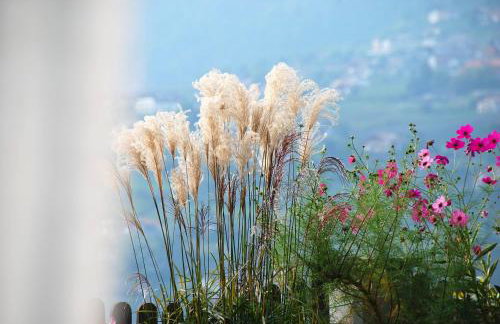 Hotel - Appartements Schmied Hans - Photo 64