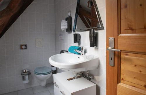 Loft auf altem Gutshof ab 2 Nächte - Foto 8