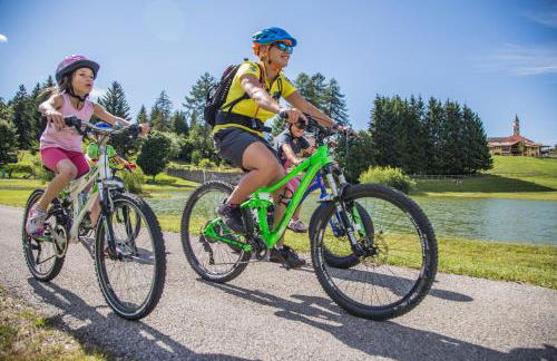 Chalet Laila - Foto 31