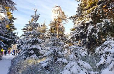 Apartament Mountains Góry Sowie - Foto 44