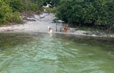 Casa da Lagoa near Barrinha - Foto 17