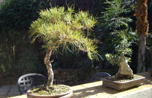 Casita para dos con piscina privada - Foto 43