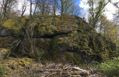 Gîte Marchand - Foto 21