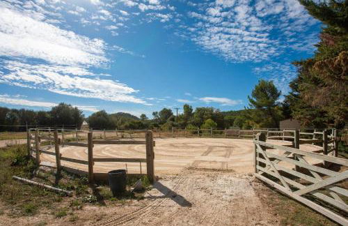 L’oliveraie Écuries Mas di Gau - Foto 22