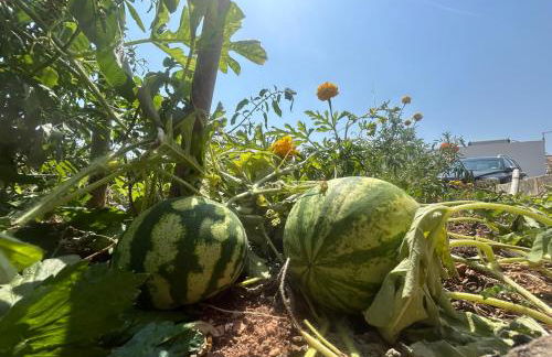 Agroturismo Matxani Gran - Foto 8