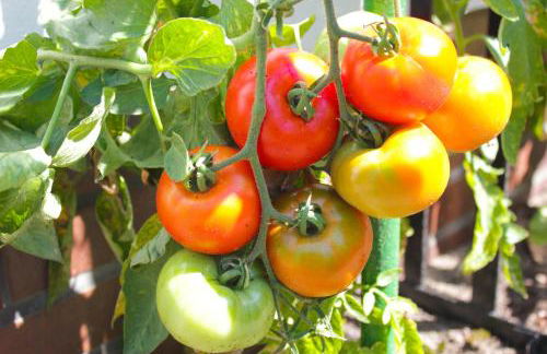 An der Hainmühle - Foto 27