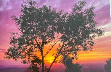 Cuckoo Penn Hideaway - Luxury Cotswold Retreat - Foto 43