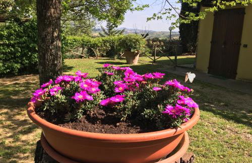 Podere Casanova di Lisa - Foto 54