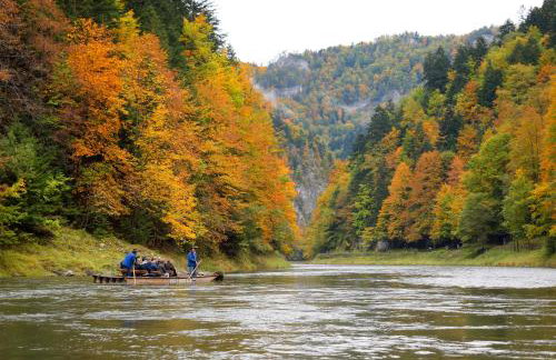 Agroturystyka Chmiel - Foto 61