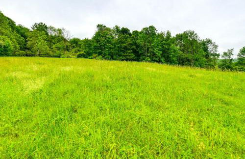 Mtn-View Deck and Grill Creekside Catskills Cabin! - Foto 22