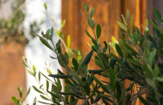 La Belle Vie - Santorini - Adults Only - Foto 60