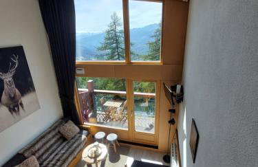 RESIDENCE LE RUITOR Duplex dernier étage vue panoramique classé 4 Cristaux Paradiski Piscine privée chauffée en ETE - Foto 75