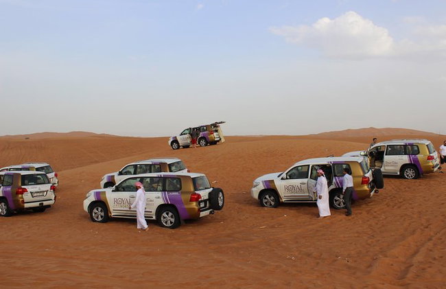 Morning Desert Safari: Dune Bashing & Camel Ride Experience - Photo 2