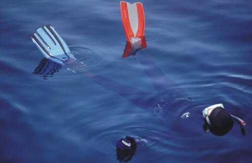 Isolated Villa Terna -Big Garden-Pool-Dalmatia - Foto 41