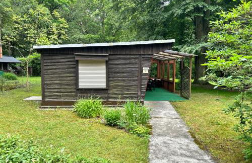 Blütenhaus im Rhododendronpark 5 min zum See - Foto 22