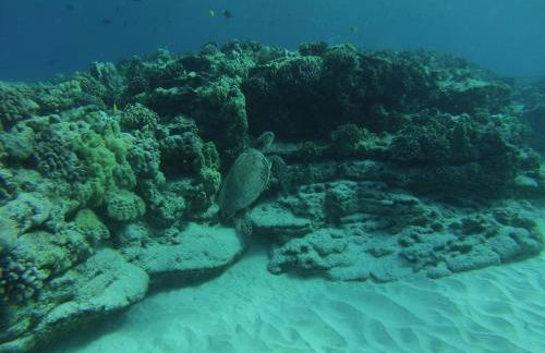 Maluhia Kahakai 2 Bedroom Condo by RedAwning - Foto 86