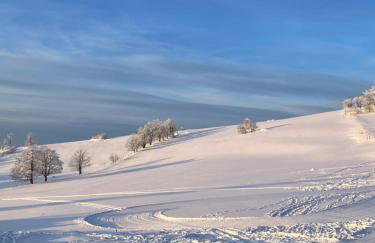 Brzozowa Osada - Foto 64