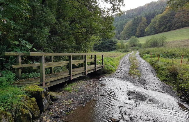 Wohnung mit Balkon und Toller Aussicht - Foto 26