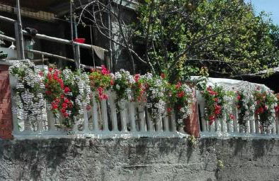 Casa Ofelia - Foto 6