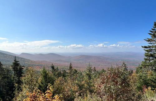 Stylish Forest Lodge with Large Hot Tub, Firepit and Fireplace 5 minutes to Gore Mountain - Photo 74