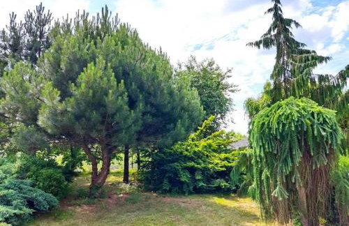 Zielony Domek z dużym tajemniczym ogrodem i rekreacyjną stodołą - Foto 4