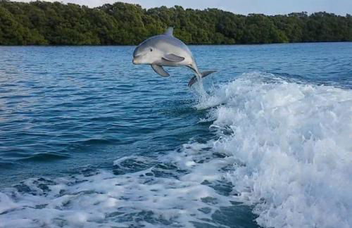 Village Breeze - Heated Pool, Private Patio, Village and Beach! - Foto 41