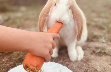 Sea Roots "Sea Zone" - Foto 57