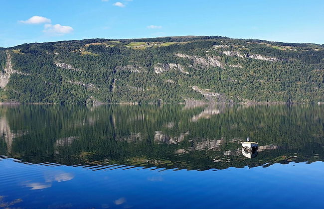 4 Person Holiday Home in Utvik-by Traum - Foto 16