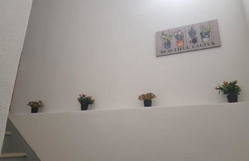 Casa dos Avós e Netos - Foto 7