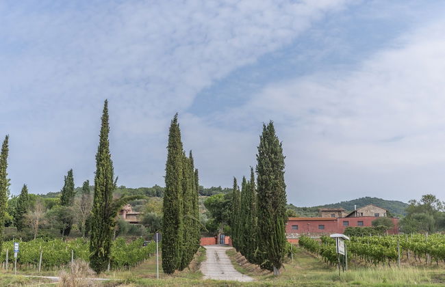 Agriturismo Le Case Rosse di Montebuono - Foto 27