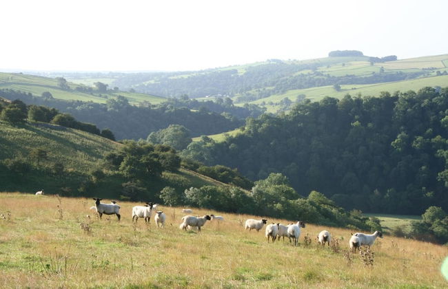 The Little Vicarage Holiday Cottage - Foto 31
