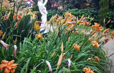 Quinta das Águias - Foto 45