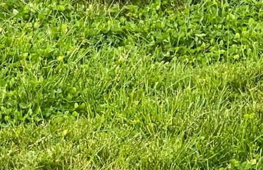 Gamekeepers Cottage - Hot Tub, 2 bed, sleeps 4, private patio, AC, stunning views - Photo 41