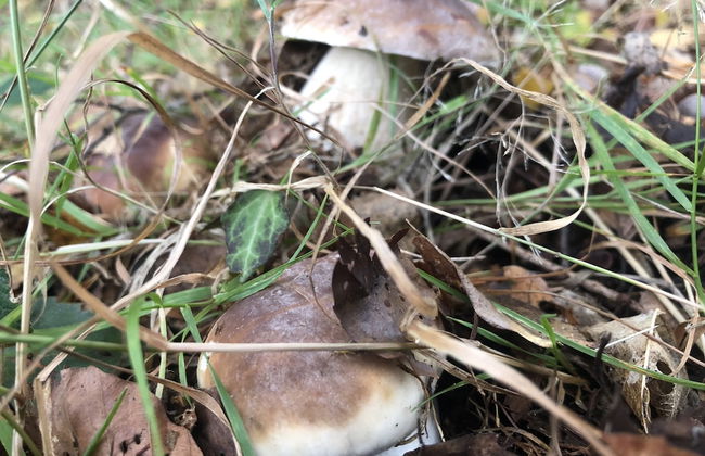 St Georges Balcony Suite - Photo 40