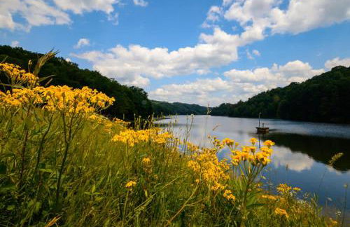 Luxe 2 Bed Dome w Hot Tub Deck Fire Pit & Bath - Foto 48