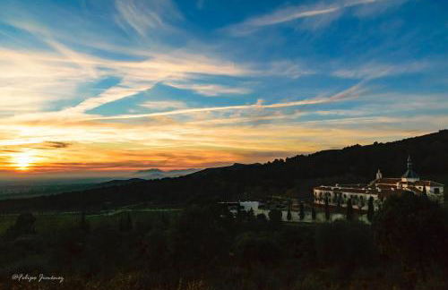 Casa Rural Entreolivos - Foto 31