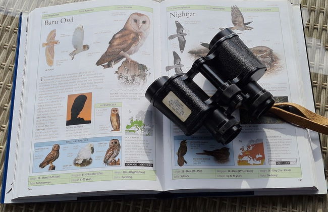 Inviting 2 Bedroom Barn Conversion, Rural Norfolk - Foto 16