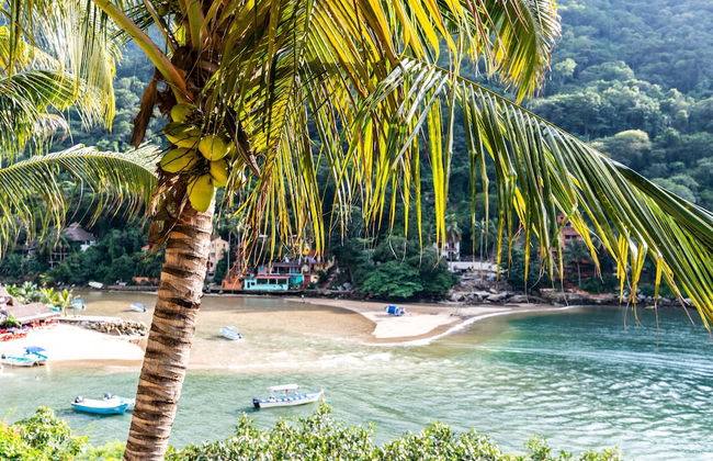 Family Vacation Home, 10 Miles From Downtown Pv Romantic Zone, Ocean Frontage - Foto 23