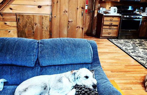 2 Mi to Marina and Beach Frye Island Retreat! - Foto 8