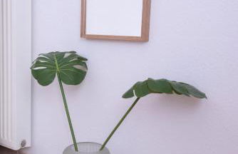 Family house nea vrasna - Foto 26