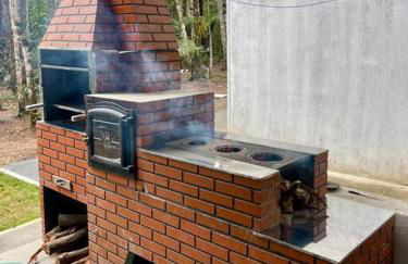 Bosque na Montanha Encantada - Foto 6