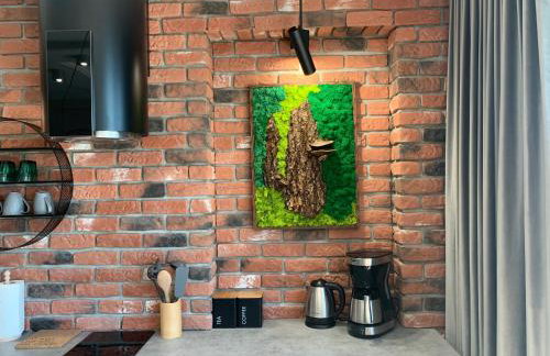 Marina Green Loft-Apartament przy promenadzie - Foto 8