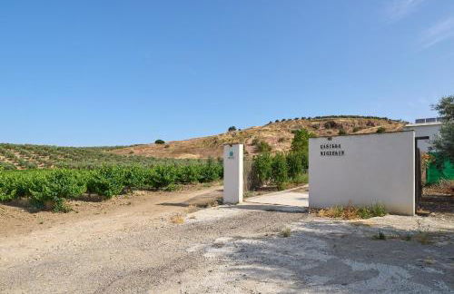 Alojamiento Rural Casilla Miguelin - Foto 27