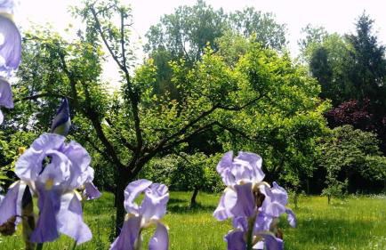 Gite spacieux et cosy à la campagne proche de Strasbourg - Foto 21