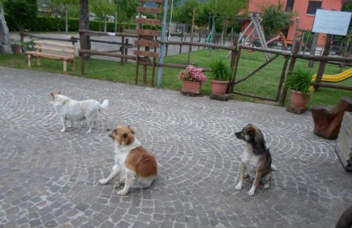 Azienda Agrituristica Pericle - Foto 36