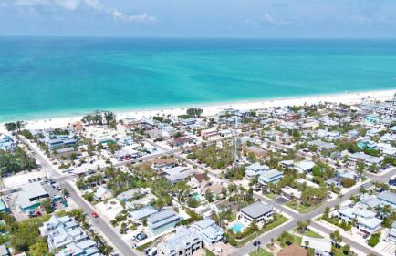 Angelfish (AMV) - Foto 3