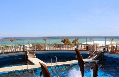 Island Princess 200 - Foto 43