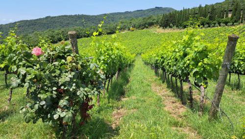 CASA ORNETO - Foto 3