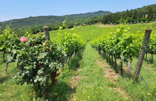 CASA ORNETO - Foto 3