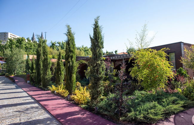 Vale de São Torcato Houses and Wine Bar - Photo 66